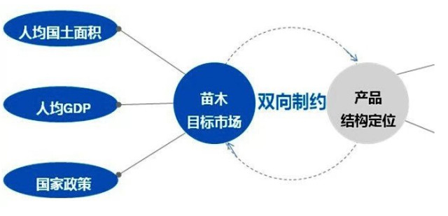 學(xué)習(xí)國外苗木行業(yè)經(jīng)驗(yàn)，搶先了解國內(nèi)市場動(dòng)態(tài)