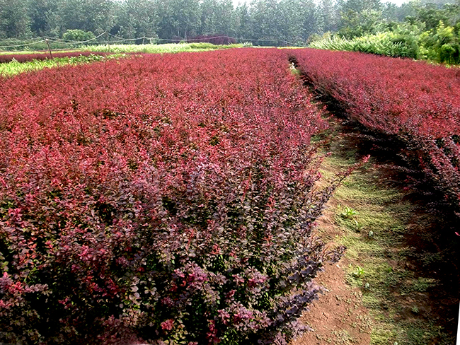 1634714009776075.jpg src=http___www.haojing888.com_uploadfiles_pictures_news_20191211084251_8809.jpg&refer=http___www.haojing888.jpg